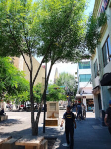 Coworking Guadalajara Centro